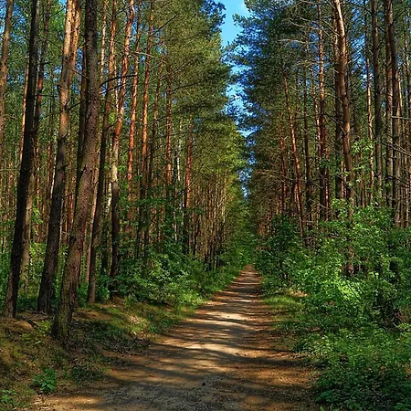 Z Balia بيت للعطل *